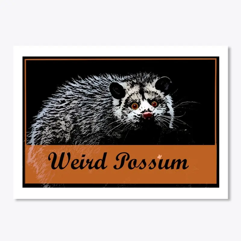 Weird Possum